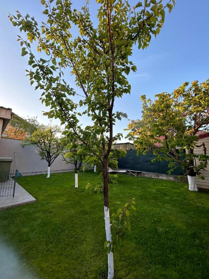 Casa Verde 康斯坦察 外观 照片